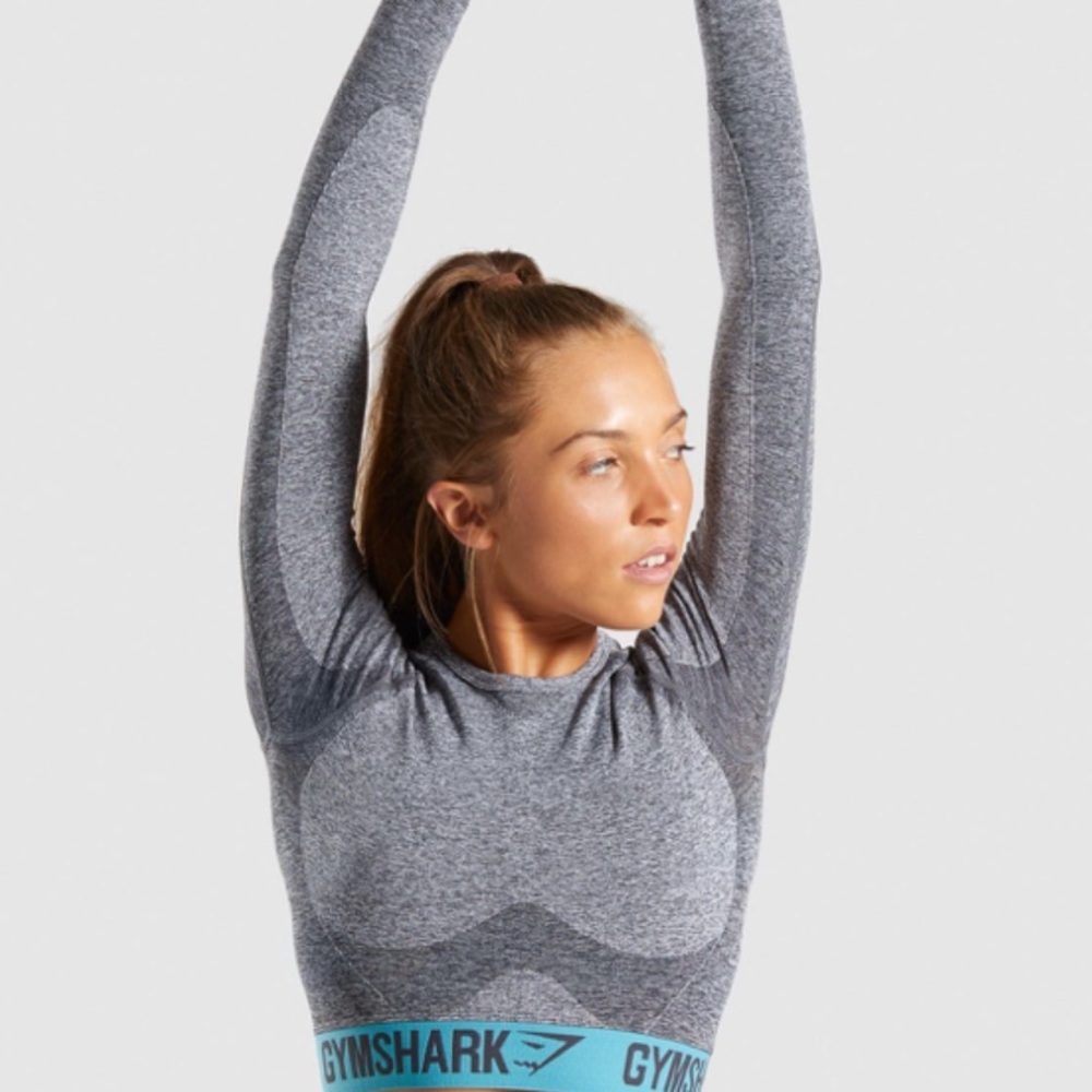 NWT Flex Long Sleeve Crop Top